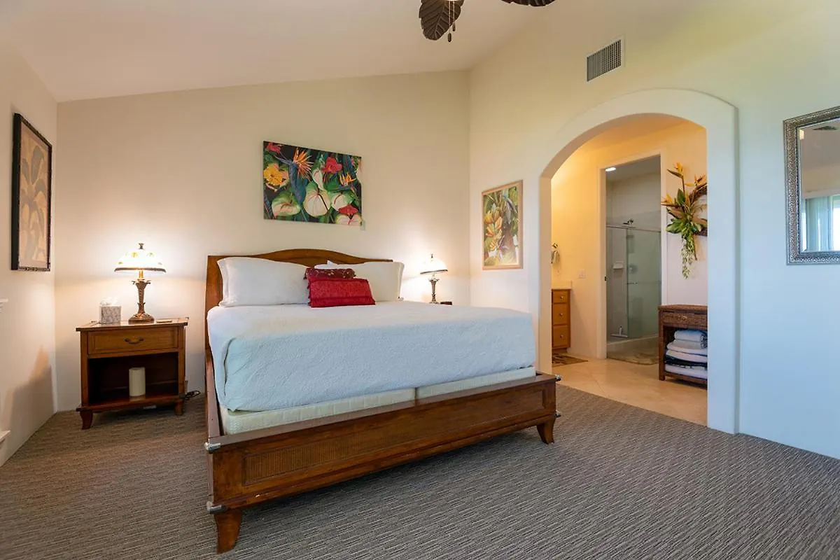 Holiday home 3Bd 3Ba Oceanview Condo W Office And Ac And Wifi And Garage Acaa1 Kailua-Kona